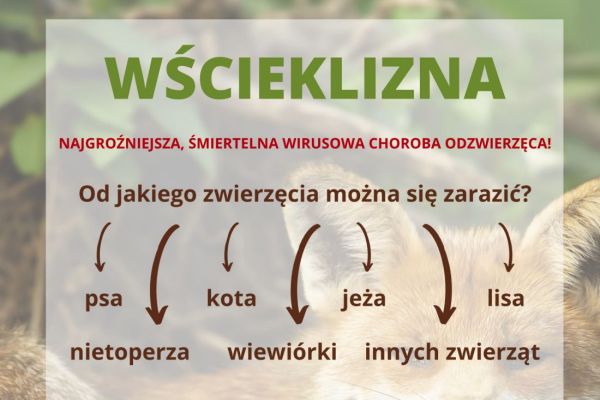 wscieklizna0653F9AD6-DF7C-054E-E81C-B90E64919E5F.jpg